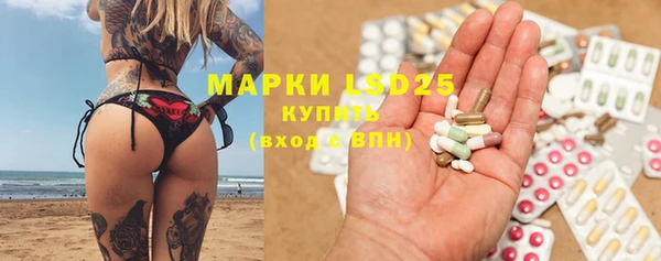 дживик Ельня