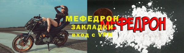 дживик Ельня