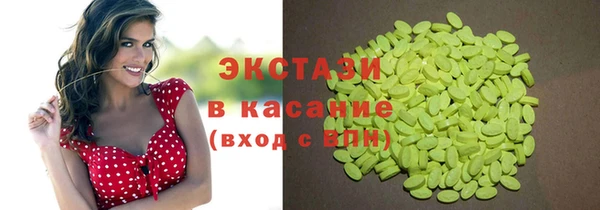 дживик Ельня