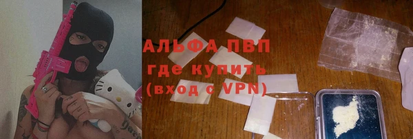 дживик Ельня
