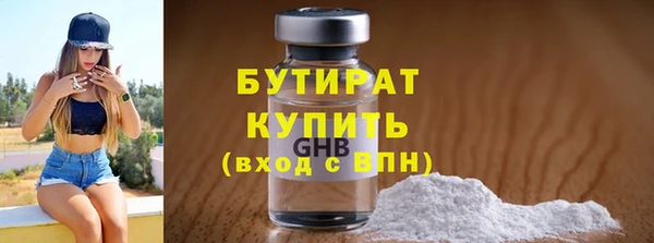 дживик Ельня