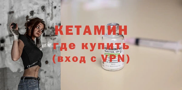 дживик Ельня