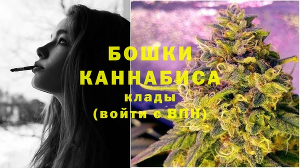 дживик Ельня