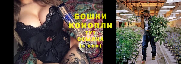соль ск Елабуга