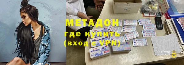 дживик Ельня