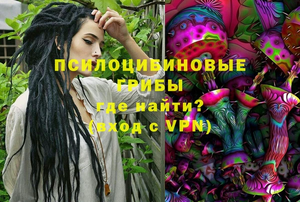 соль ск Елабуга