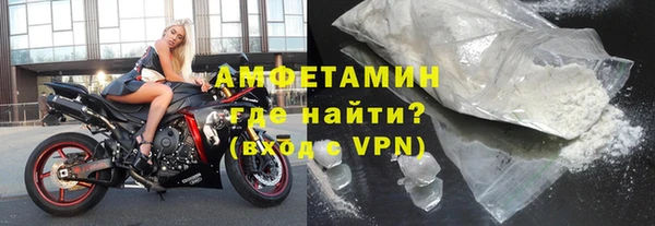 дживик Ельня