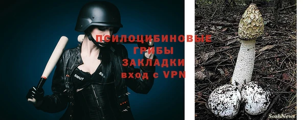 соль ск Елабуга