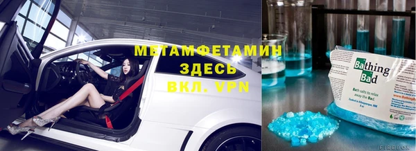 дживик Ельня