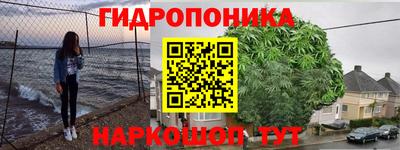 PSILOCYBIN Апшеронск