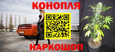 спайс Аргун