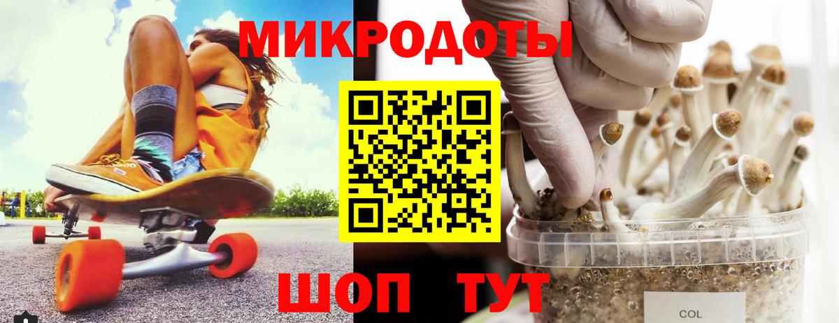 Псилоцибиновые грибы Psilocybine cubensis  Бердск 