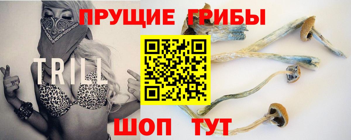 Псилоцибиновые грибы Cubensis Бердск